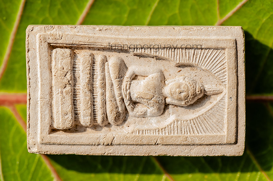 สมเด็จแหวกม่าน 2539